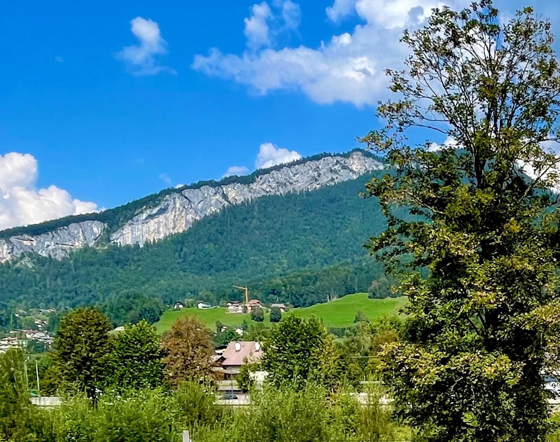 Mitzis Stubn Apartments - Bad Goisern - 24-Hour Self Check-In Екстериор снимка